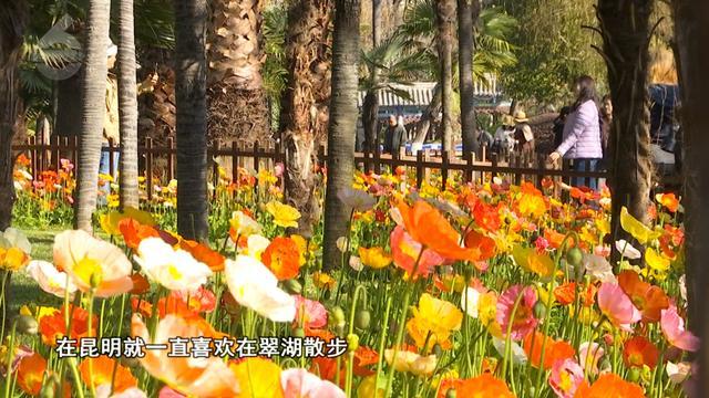 易胜博体育-主场称雄?客场破局?期待!